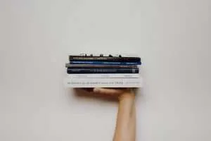 What is the purpose of a PhD literature review?