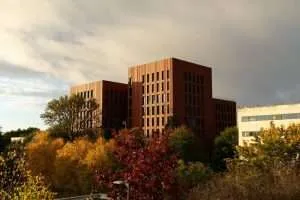 What is it you are trying to say?